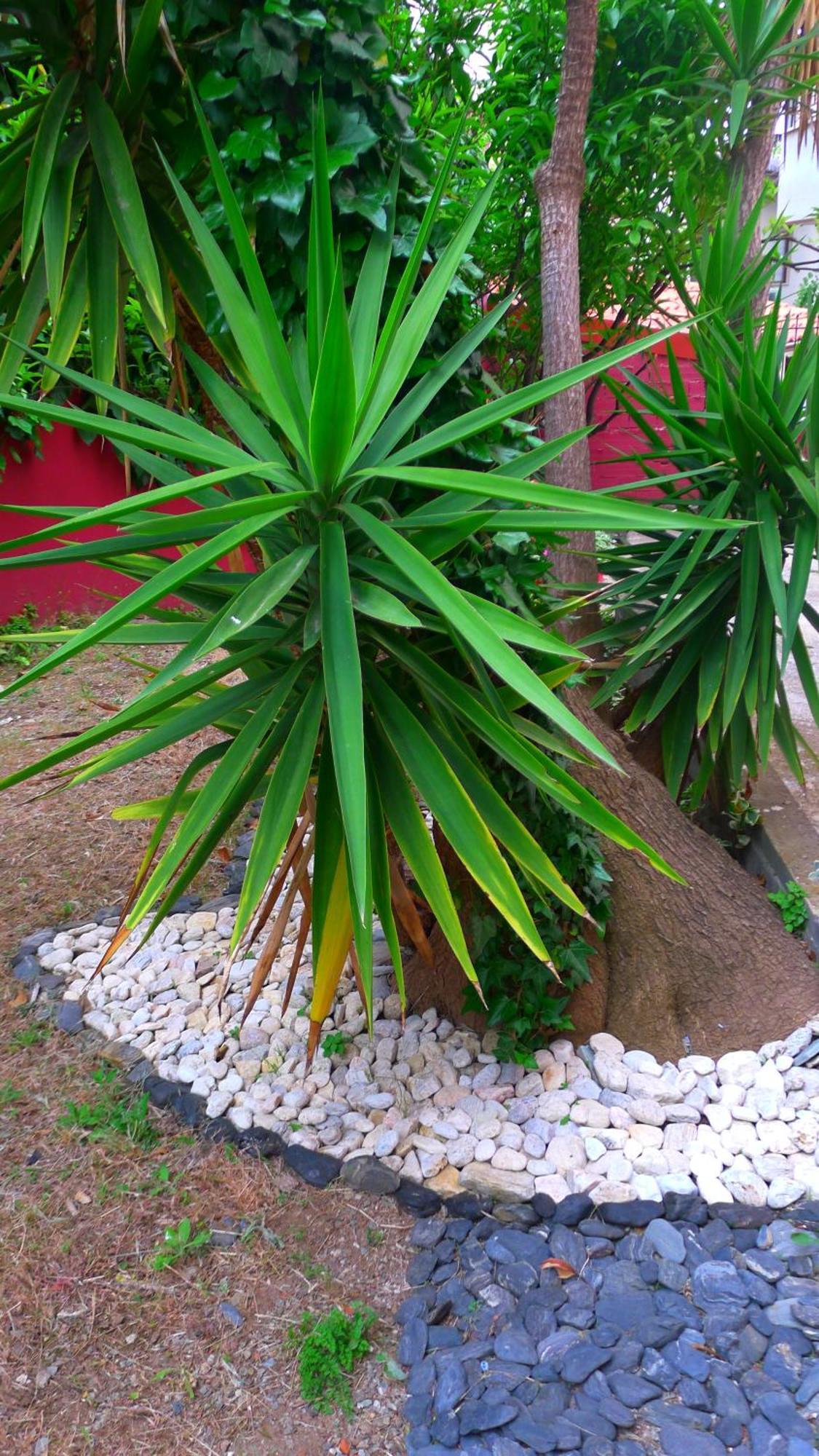 George & Sia'S House Apartment Neos Marmaras Bilik gambar
